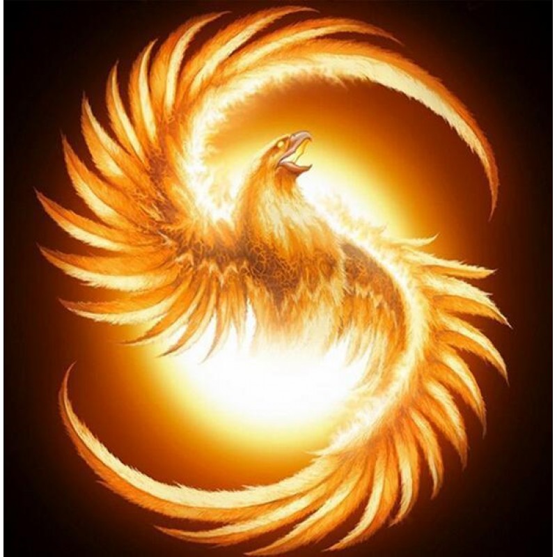 2021 Phoenix Full Dr...