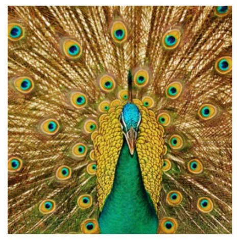 2021 Peacock Full Drill Diy Diamond Painting Kits UK