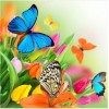 2021 Butterfly Full Drill Diy Diamond Painting Kits UK