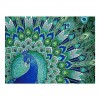 2021 Peacock Full Drill Diy Diamond Painting Kits UK 