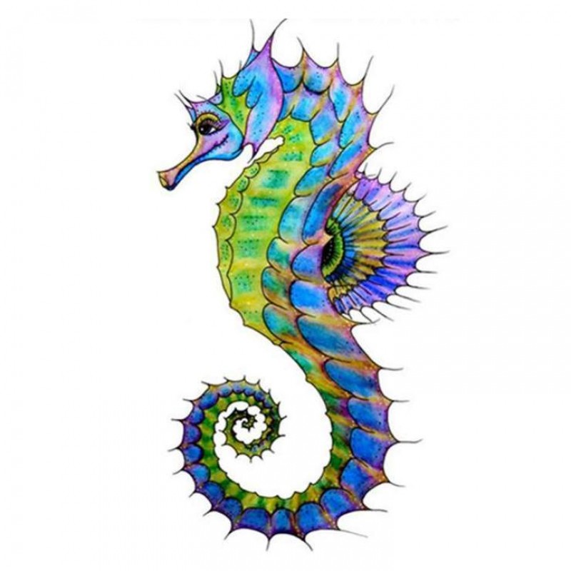 2021 Hippocampi Full...