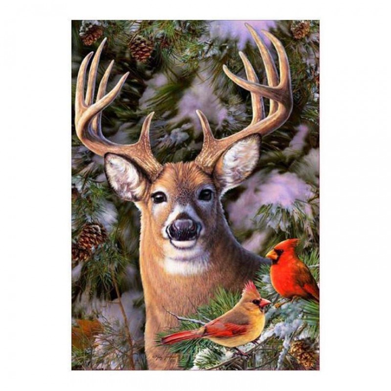 2021 Deer Full Drill...