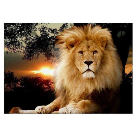 2021 Lion Full Drill Diy 5d Diamond Painting Kits UK