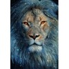 2021 Lion Full Drill Diy 5d Diamond Painting Kits UK