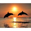 2021 Dolphin Full Drill Diy Diamond Painting Kits UK
