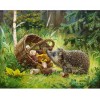 2021 Hedgehog Full Drill 5d Diy Diamond Painting Kits 