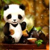 2021 Panda Full Drill Diy Diamond Painting Kits UK