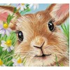 2021 Rabbit Diy Diamond Painting Kits UK 