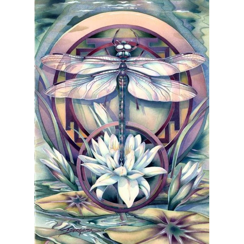 2021 Dragonfly Full ...