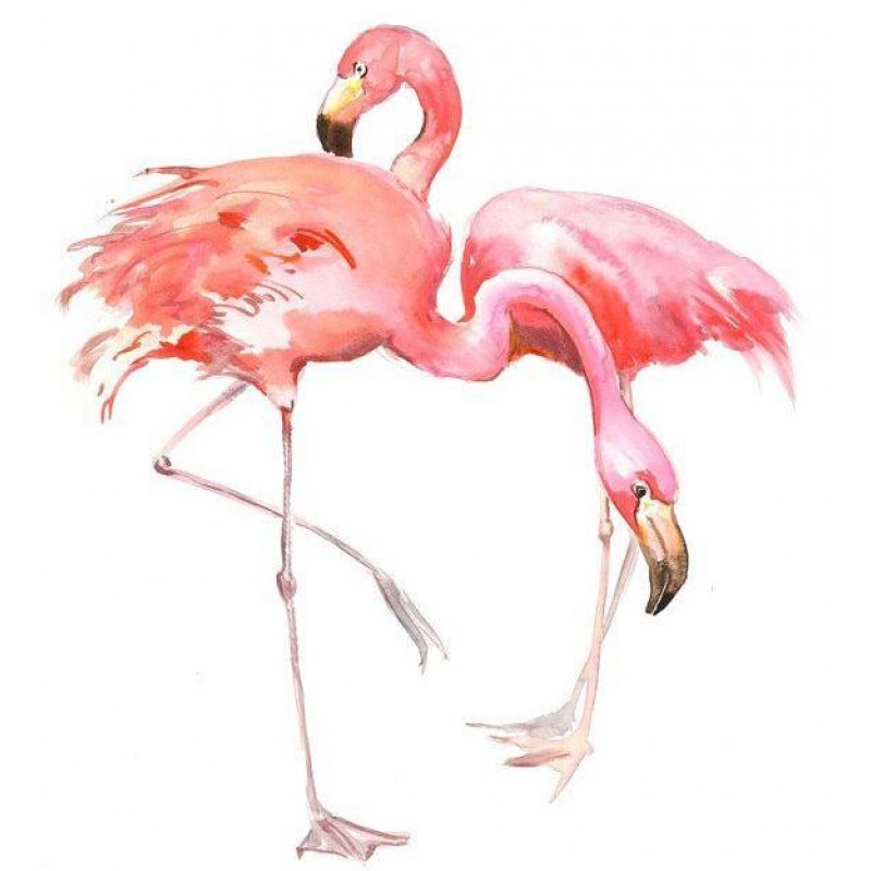 2021 Flamingo Full D...