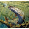 2021 Fish Full Drill Diy Diamond Painting Kits UK
