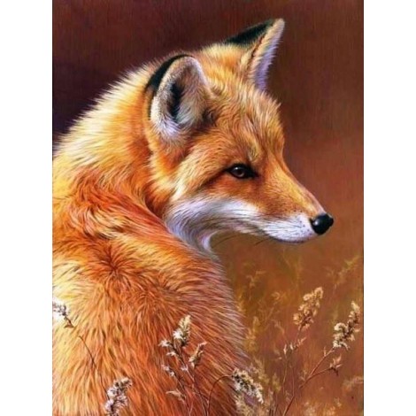 2021 Fox Full Drill Diy Diamond Painting Kits UK 