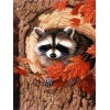 2021 Raccoon Full Drill Diy Diamond Painting Kits UK