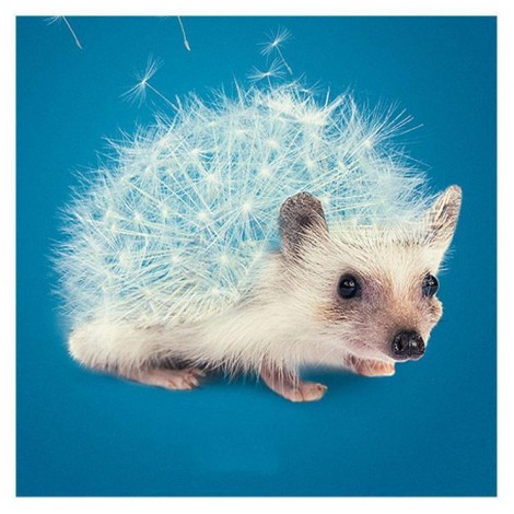 2021 Diy 5d Crystal Diamond Painting Kits