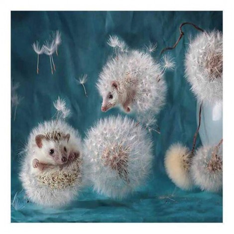 2021 Hedgehog 5D Diy Cross Stitch Diamond Painting Kits