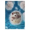 2021 Hedgehog 5D Diy Cross Stitch Diamond Painting Kits 