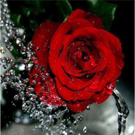 2021 Rose 5d Diy Diamond Painting Kits UK