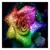 2021 Rose Diy Diamond Painting Kits UK 