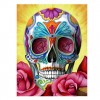 2021 Skull Full Drill Diy 5d Diamond Painting Kits UK