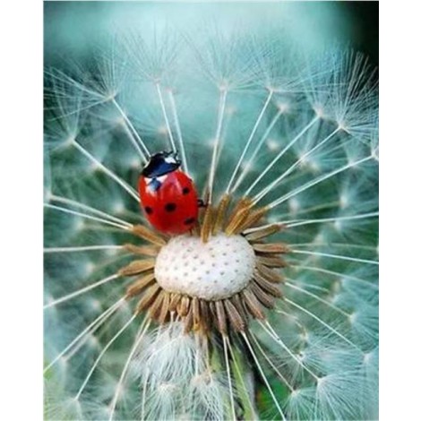 2021 Dandelion Full Drill Diy Diamond Painting Kits UK