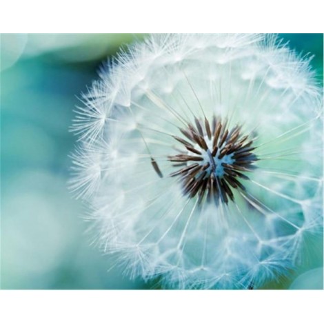 2021 Dandelion Full Drill Diy Diamond Painting Kits UK