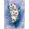 2021 Cat Diy Diamond Painting Kits UK