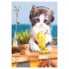 2021 Cat Diy Diamond Painting Kits UK
