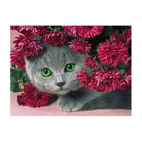 2021 Cat Diy Diamond Painting Kits UK