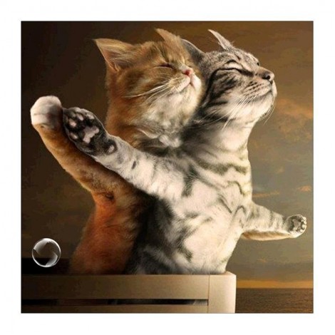 2021 Cat Diy Diamond Painting Kits UK