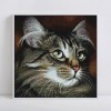 2021 Cat Diy Diamond Painting Kits UK