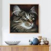 2021 Cat Diy Diamond Painting Kits UK