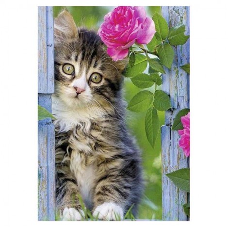 2021 Cat Diy Diamond Painting Kits UK