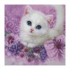 2021 Cat Diy Diamond Painting Kits UK