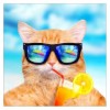 2021 Cat Diy Diamond Painting Kits UK