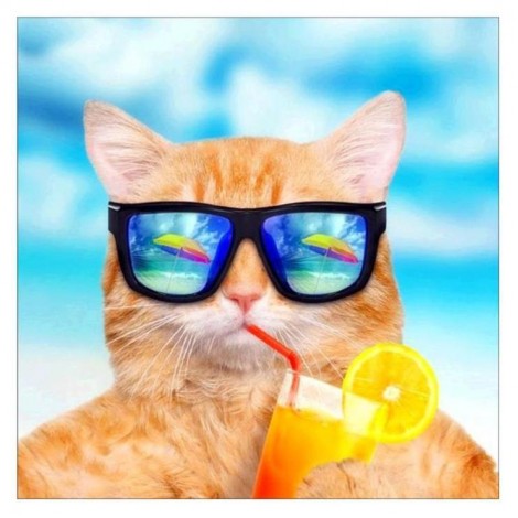 2021 Cat Diy Diamond Painting Kits UK