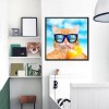 2021 Cat Diy Diamond Painting Kits UK