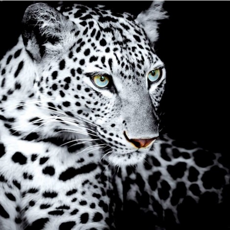 2021 Leopard Full Drill Diy Diamond Painting Kits UK