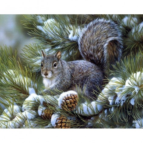 2021 Squirrel 5d Diy Diamond Painting Kits 