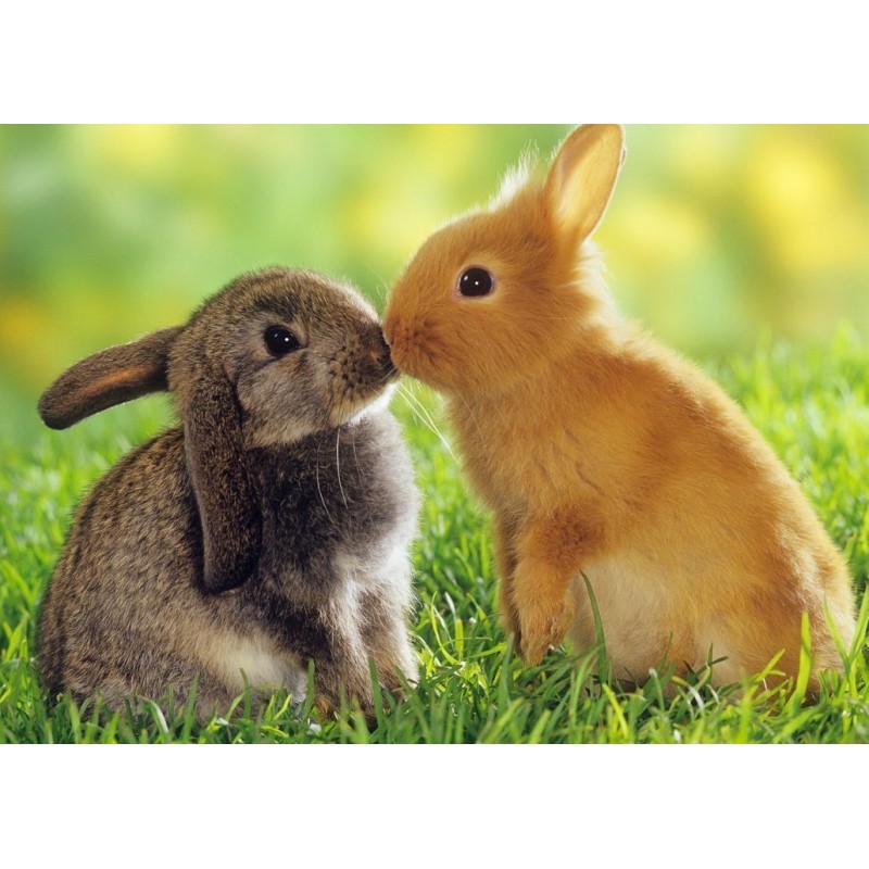 2021 Full Drill 5d D...