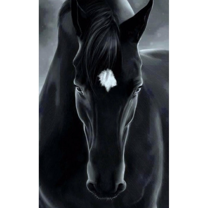 2021 Full Drill Diy ...