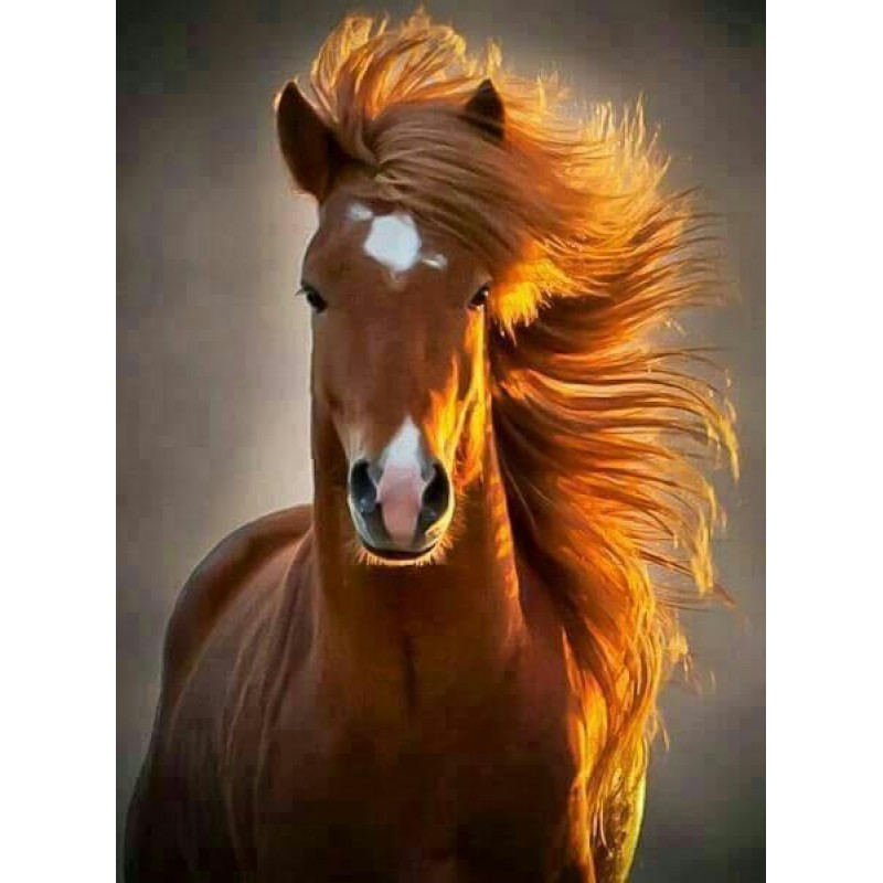 2021Full Drill Diy D...