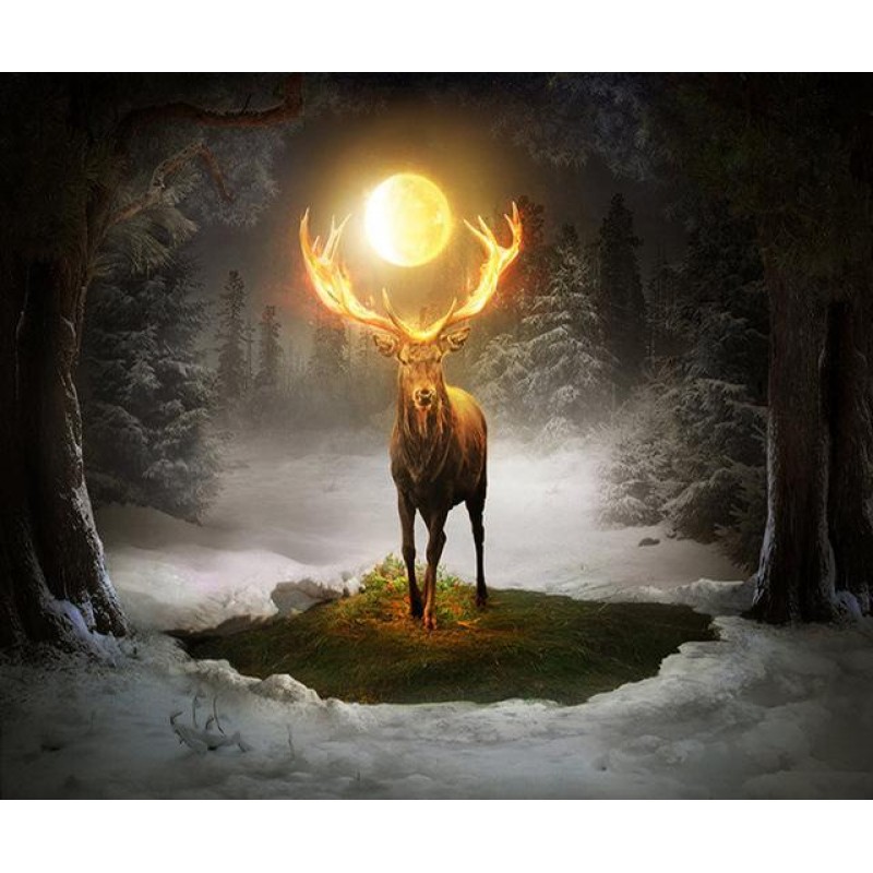 2021 Deer Full Drill...