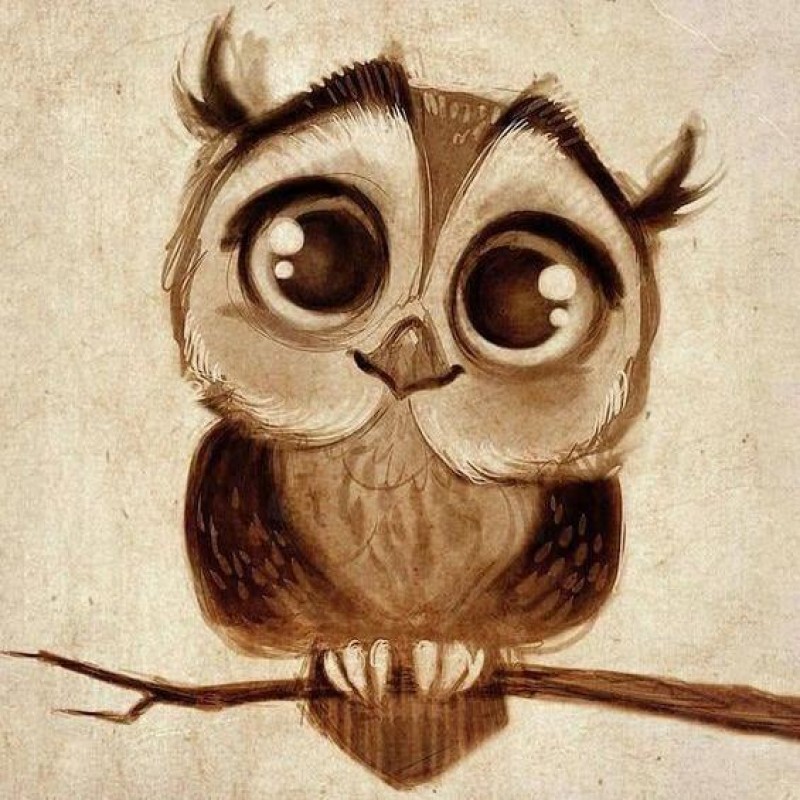 2021 Full Drill 5d D...