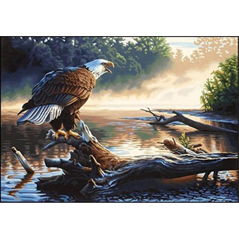 2021 Eagle 5d Diy Diamond Painting Kits