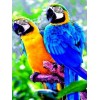 2021 Parrot Full Drill Diy Diamond Painting Kits UK