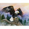 2021 Eagle Full Drill Diy Diamond Painting Kits 