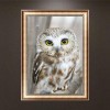 2021 Owl Full Drill Diy Diamond Painting Kits