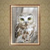 2021 Owl Full Drill Diy Diamond Painting Kits