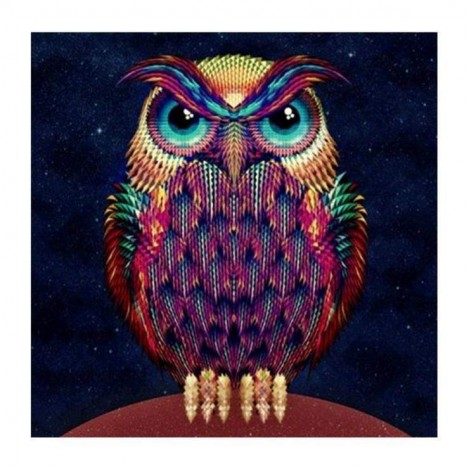 2021 Owl Full Drill Diy Diamond Painting Kits