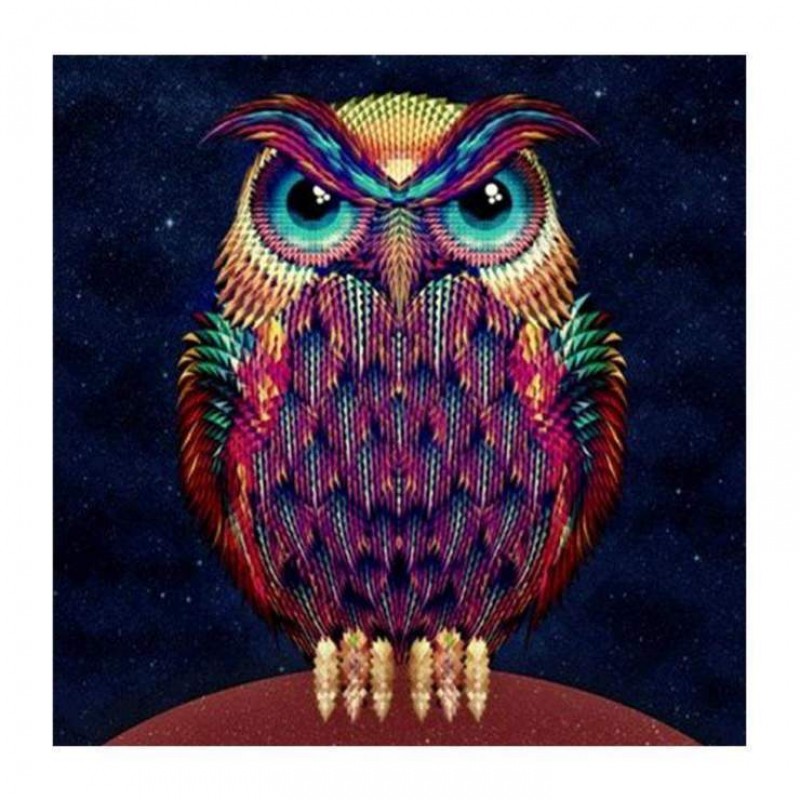 2021 Owl Full Drill ...